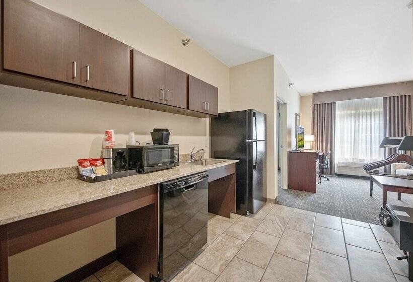 Люкс, Cobblestone Hotel & Suites   Austin