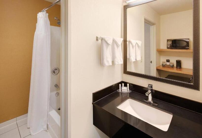 Standaardkamer met Kingsize Bed, Fairfield Inn & Suites Indianapolis Airport