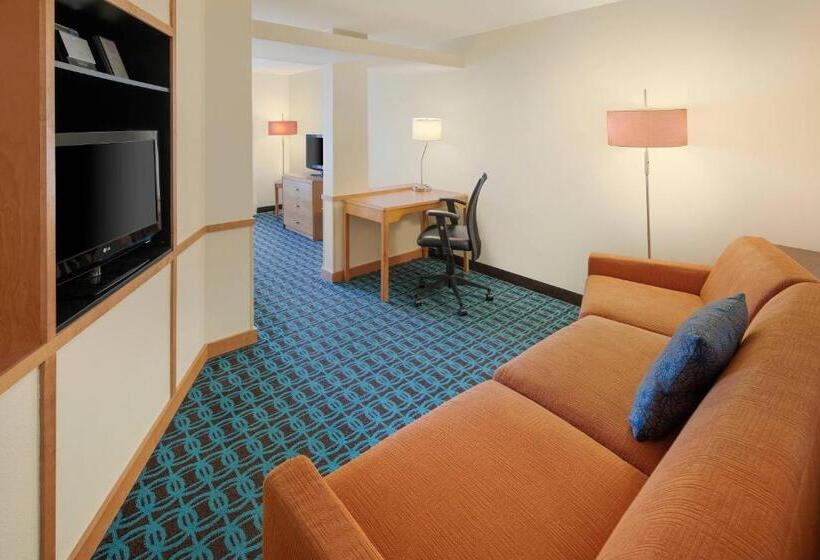 Suite met Kingsize Bed, Fairfield Inn & Suites Indianapolis Airport