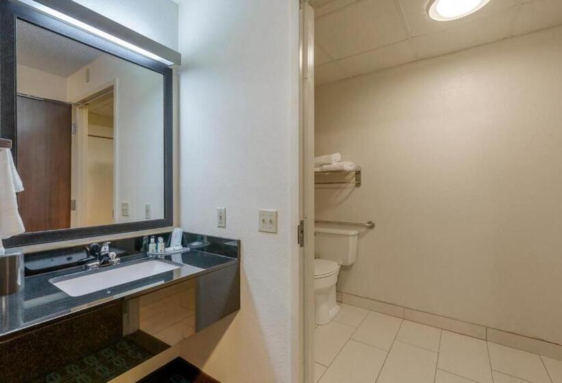 Номер Стандарт Кровать Кинг Адаптированный для Инвалидов, Quality Inn & Suites Sandusky