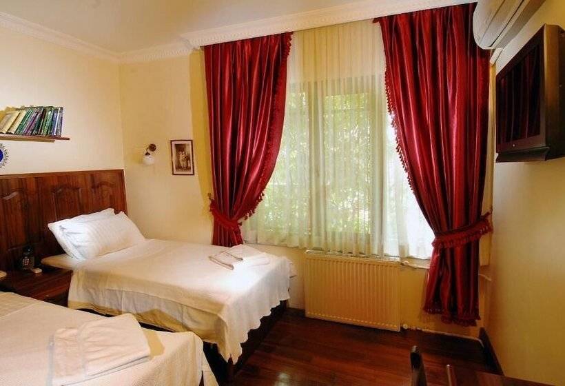 اتاق استاندارد, şebnem