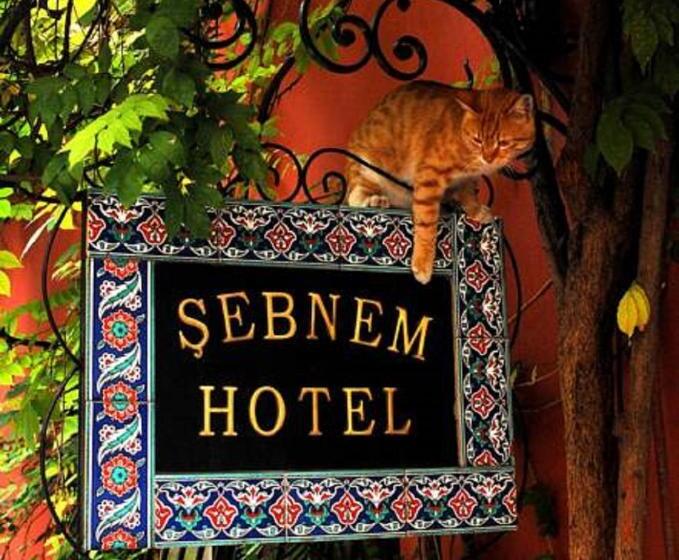 اتاق استاندارد, şebnem