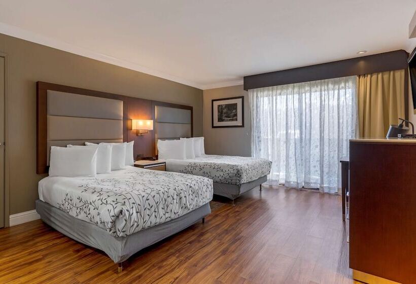 Номер Стандарт 2 Двуспальные Кровати, Best Western Plus Forest Park Inn