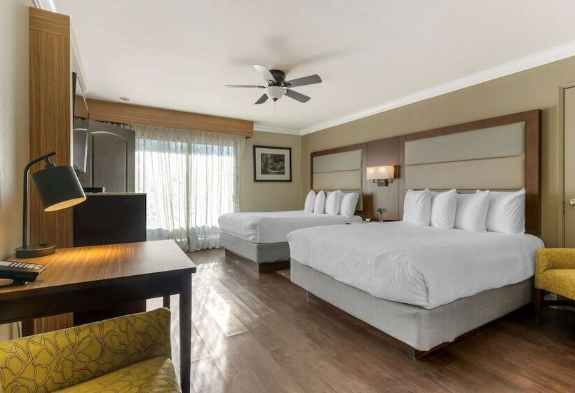 Family Suite, Best Western Plus Forest Park Inn