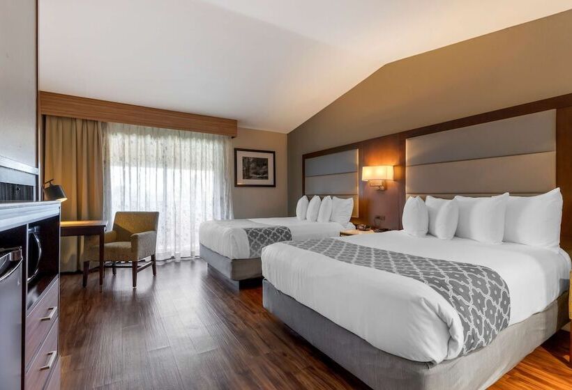 Номер Стандарт 2 Двуспальные Кровати, Best Western Plus Forest Park Inn