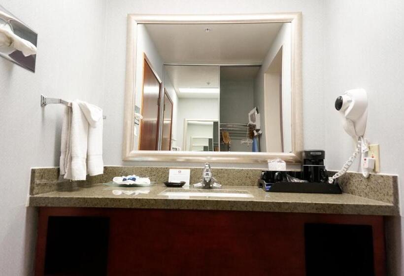 Family Suite, Best Western Plus Forest Park Inn