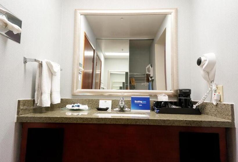 Номер Стандарт Кровать Кинг Адаптированный для Инвалидов, Best Western Plus Forest Park Inn