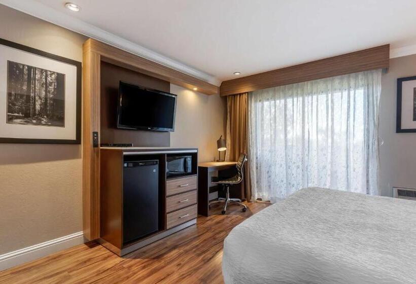 Номер Стандарт Кровать Кинг Адаптированный для Инвалидов, Best Western Plus Forest Park Inn