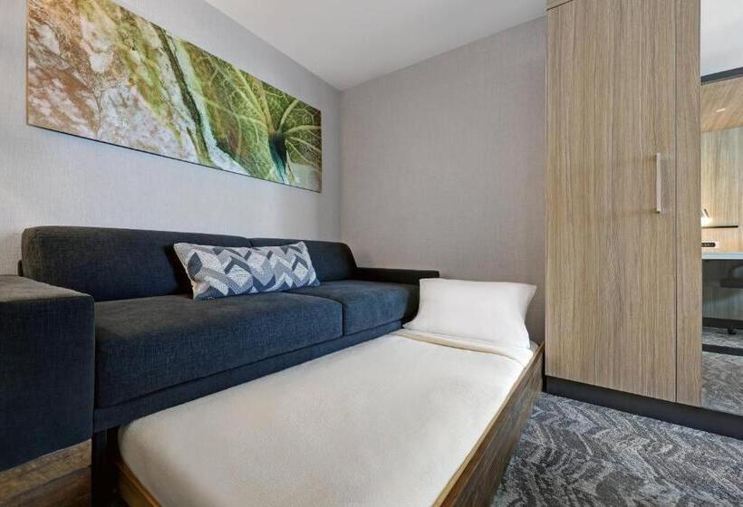 带皇后床的套间, Springhill Suites By Marriott Palm Desert