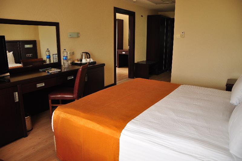适合残疾人士使用的带超级大床的标准间, Holiday Inn Grand Haven Spring Lake, An Ihg
