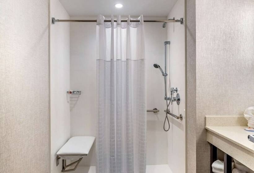 장애인을 위한 스위트, Comfort Inn & Suites Miami International Airport