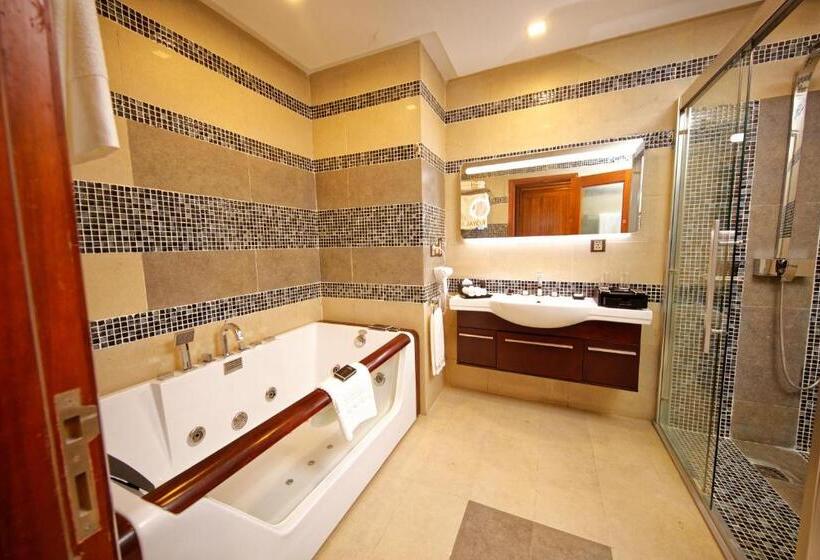 اتاق استاندارد با تخت بزرگ, Royal Swiss Lahore