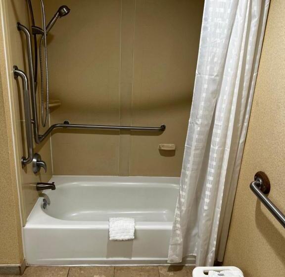 장애인을 위한 퀸사이즈 스탠다드 룸, Baymont By Wyndham Monroe Ohio