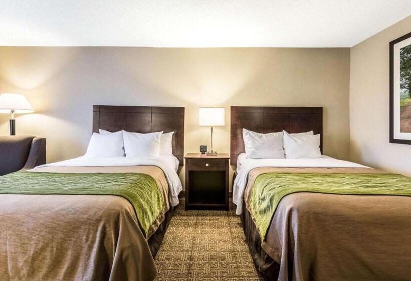 Номер Стандарт 2 Двуспальные Кровати, Comfort Inn