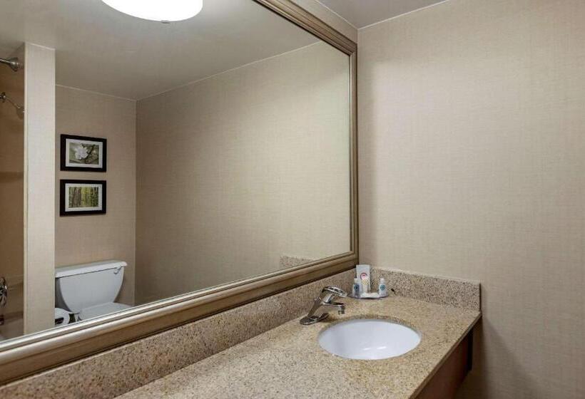 Стандартный Номер Кровать Кинг, Comfort Inn