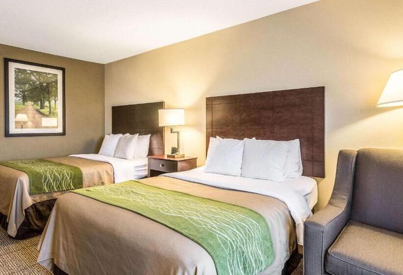 Номер Стандарт Адаптированный для Инвалидов, Comfort Inn