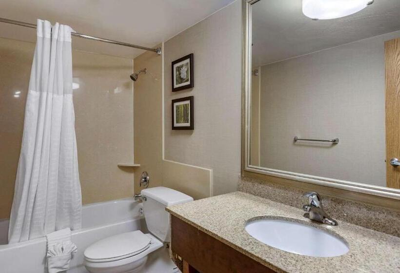 Люкс Кровать Кинг, Comfort Inn
