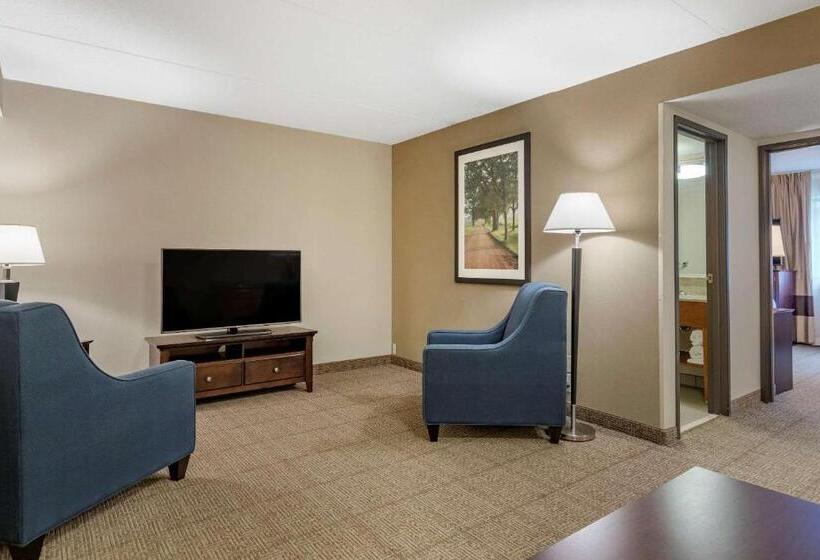 Люкс Кровать Кинг, Comfort Inn