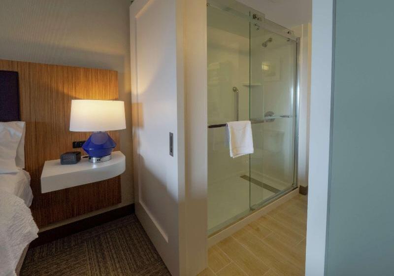 Standard Room King Size Bed, Hampton Inn Hazleton