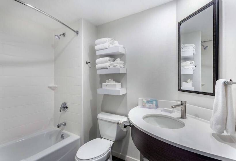 标准间, Hampton Inn Milwaukee Airport