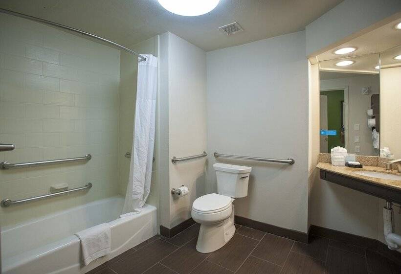 장애인을 위한 킹사이즈 침대 스탠다드 룸, Hampton Inn & Suites New Orleans Downtown