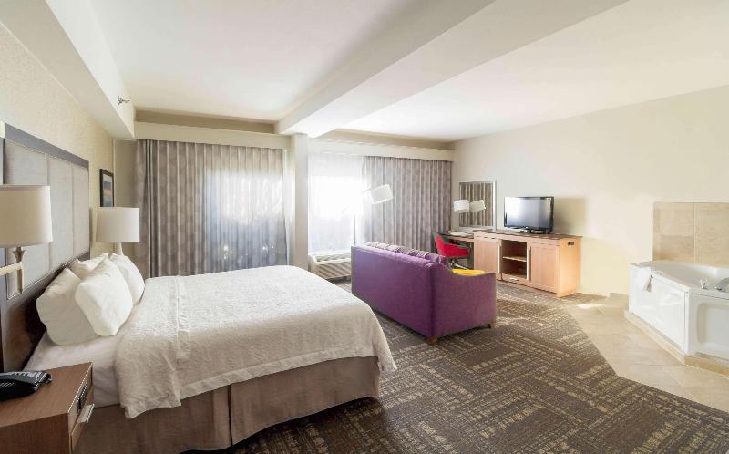 带大床的套房, Hampton Inn Sevierville