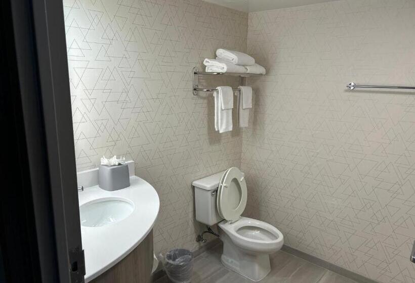 适合残疾人士使用的带超级大床的标准间, Holiday Inn Express Crestwood, An Ihg