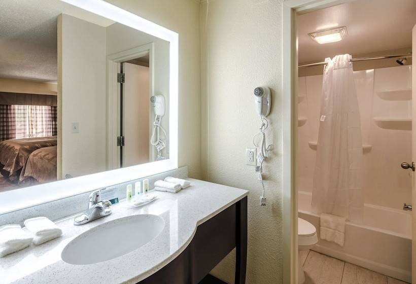 스탠다드 룸 더블 침대 2개, Quality Inn Tanglewood