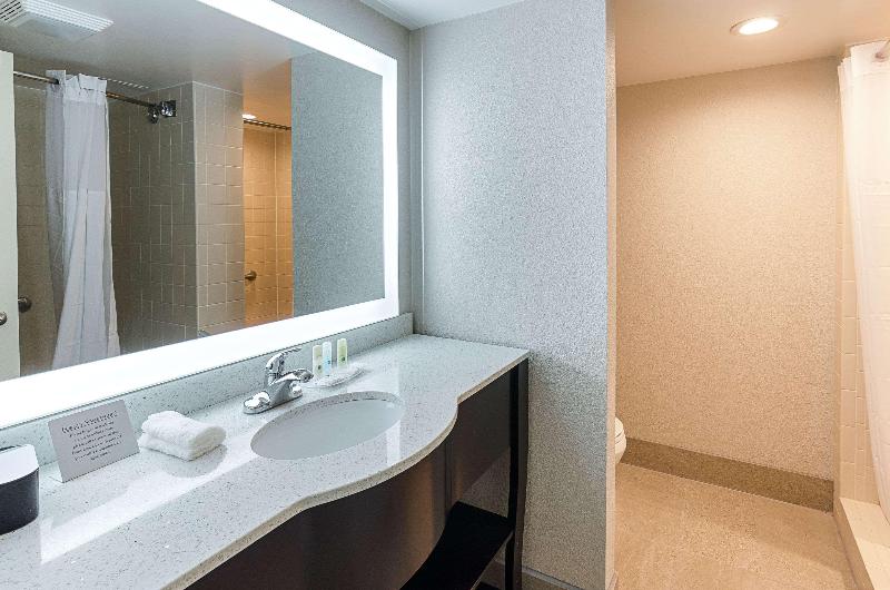 스탠다드 룸 킹사이즈 침대, Quality Inn Tanglewood