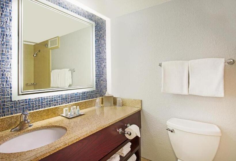 Номер Стандарт Вид на Озеро, Wyndham Lake Buena Vista Resort Disney Springs® Resort Area