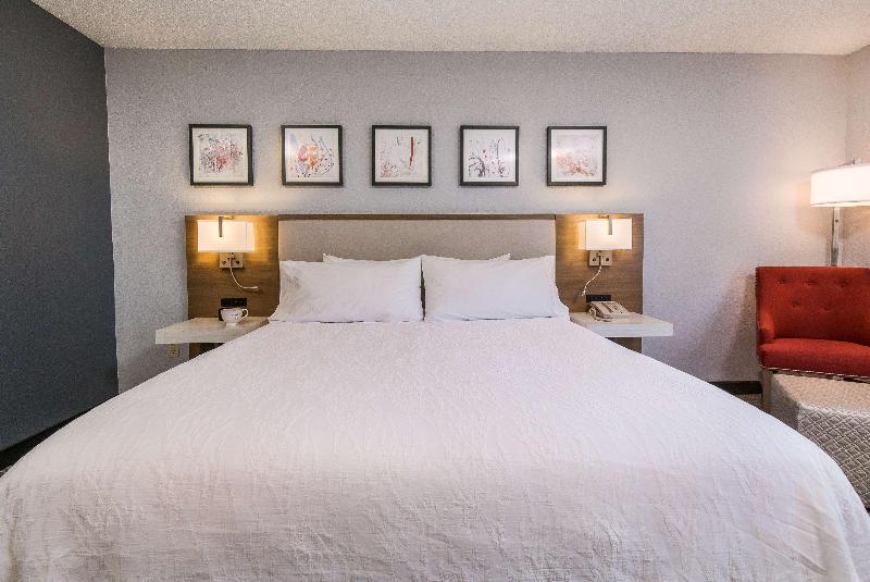 Номер Премиум, Hilton Garden Inn Atlanta North/johns Creek