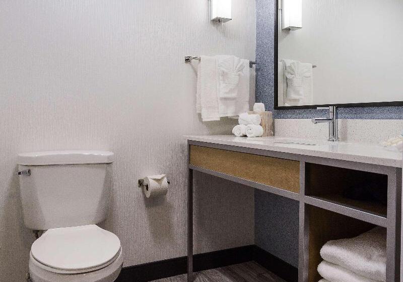 Номер Премиум, Hilton Garden Inn Atlanta North/johns Creek