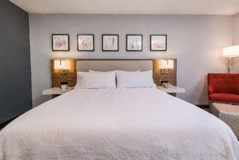 Стандартный Номер Кровать Кинг, Hilton Garden Inn Atlanta North/johns Creek