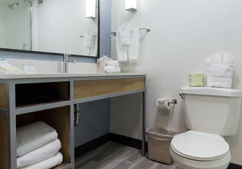 Номер Стандарт, Hilton Garden Inn Atlanta North/johns Creek