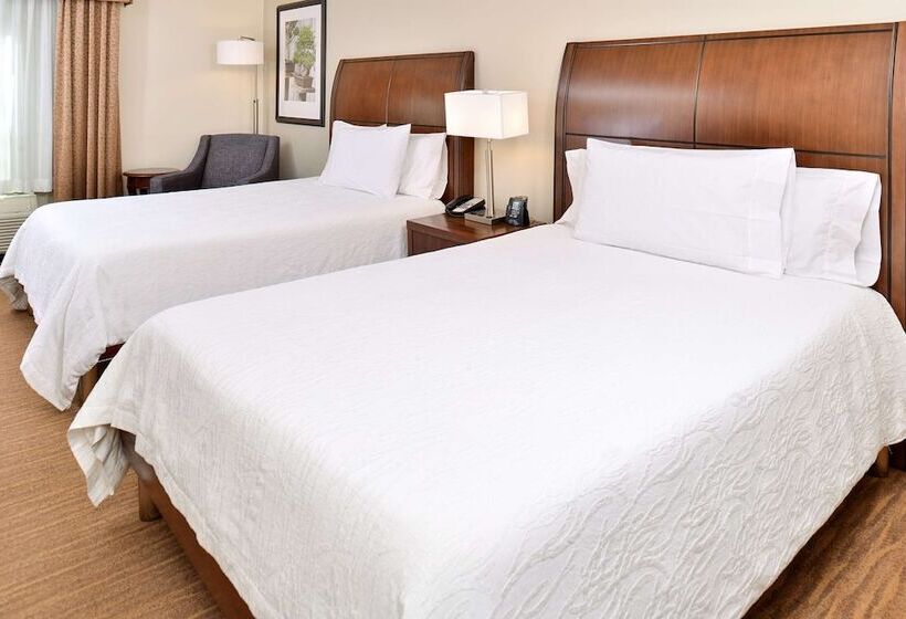 Chambre Standard Adaptée aux Personnes à Mobilité Réduite, Hilton Garden Inn Dallas/addison