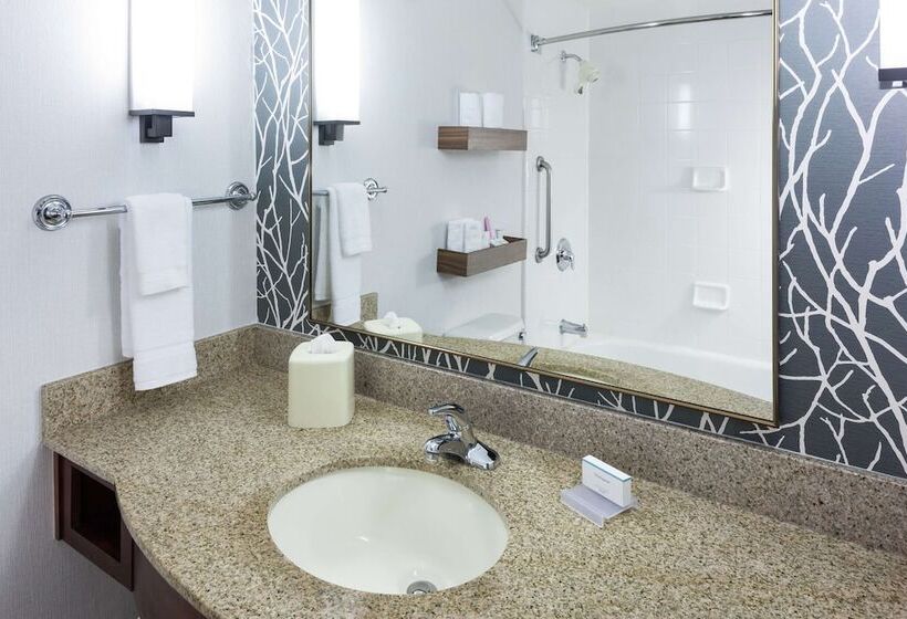 Номер Стандарт Адаптированный для Инвалидов, Hilton Garden Inn Sacramento/south Natomas