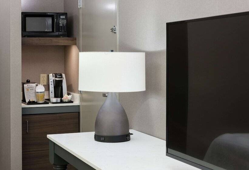 Номер Стандарт Адаптированный для Инвалидов, Hilton Garden Inn Sacramento/south Natomas