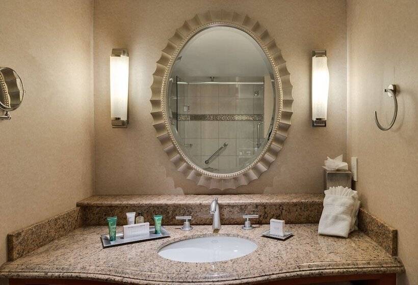 Business odası, Hilton Washington Dulles Airport