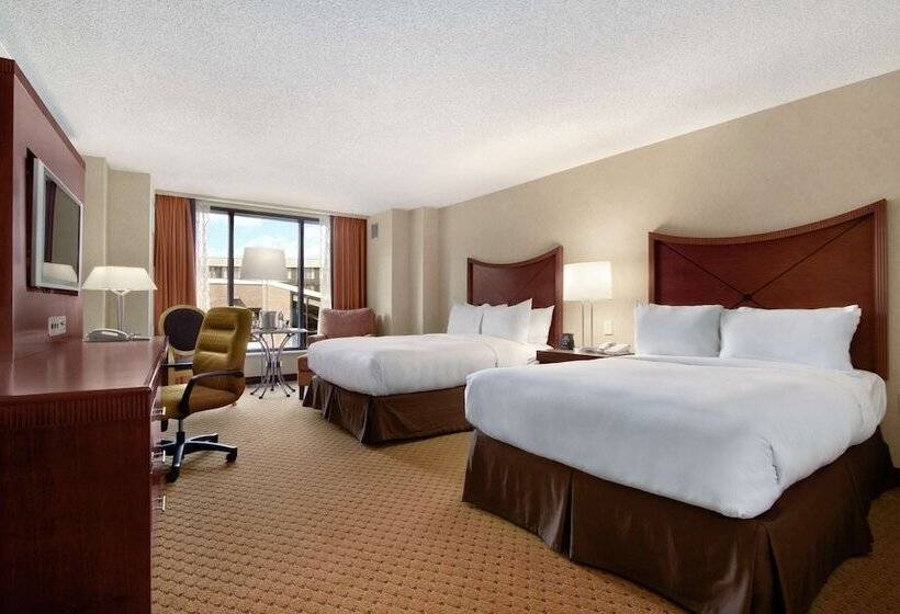 Business odası, Hilton Washington Dulles Airport