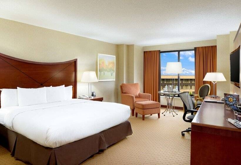 Business odası, Hilton Washington Dulles Airport