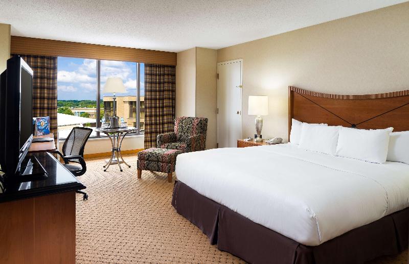Büyük Çift Kişilik Yataklı Standart Oda, Hilton Washington Dulles Airport