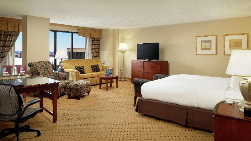 Büyük Çift Kişilik Yataklı Junior Süiti, Hilton Washington Dulles Airport