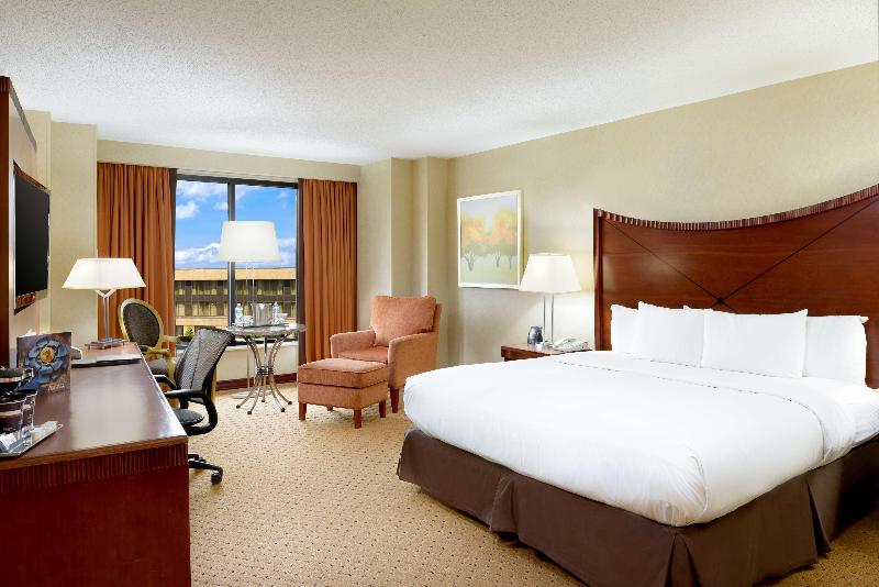 Büyük Çift Kişilik Yataklı Standart Oda, Hilton Washington Dulles Airport