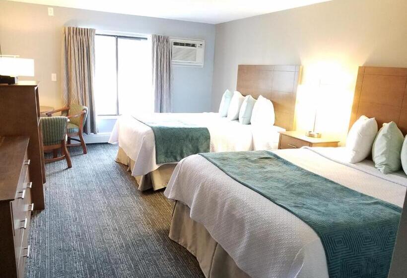 Номер Стандарт, Hampton Village Inn