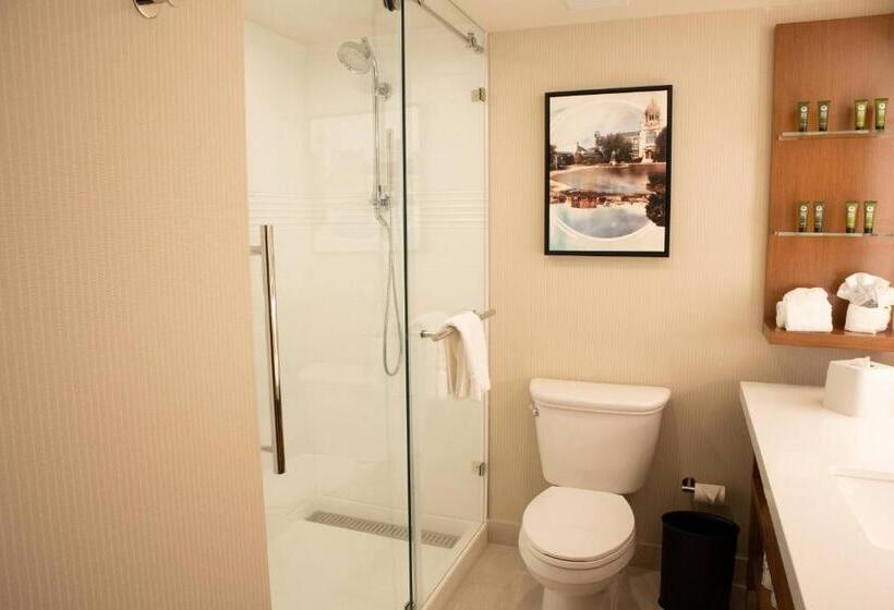 Стандартный Номер Кровать Кинг, Delta Hotels By Marriott Allentown Lehigh Valley
