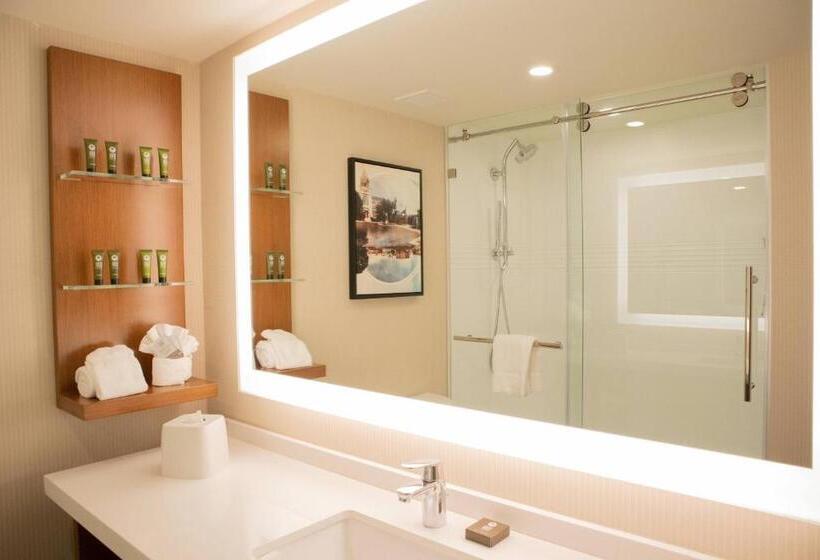 Стандартный Номер Кровать Кинг, Delta Hotels By Marriott Allentown Lehigh Valley