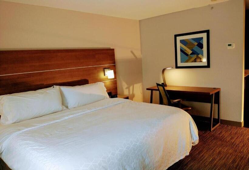 스탠다드 룸 킹사이즈 침대, Holiday Inn Express Hotel & Suites Madison, An Ihg