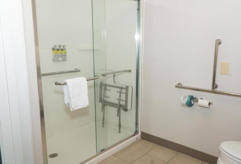 장애인을 위한 킹사이즈 침대 스탠다드 룸, Holiday Inn Express Hotel & Suites Madison, An Ihg