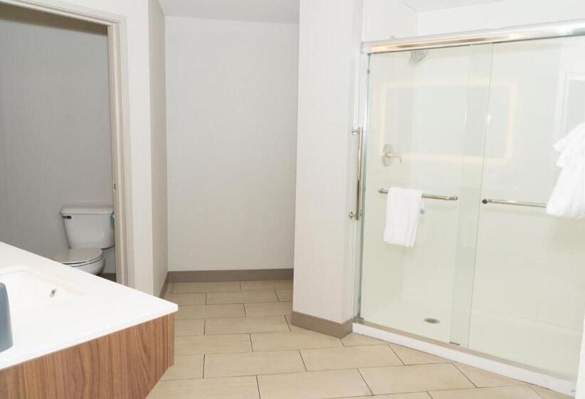 프레지덴셜 스위트, Holiday Inn Express Hotel & Suites Madison, An Ihg