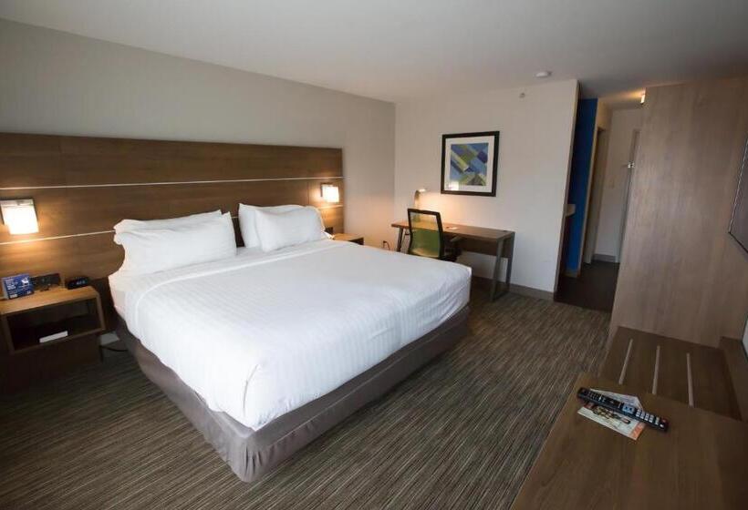 스탠다드 룸 킹사이즈 침대, Holiday Inn Express Hotel & Suites Madison, An Ihg